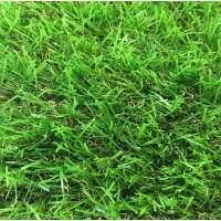 Read Artificial Grass Direct Reviews