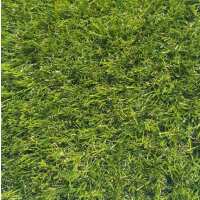 Read Artificial Grass Direct Reviews