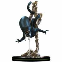 Read Zatu Games Reviews