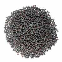 Read JustIngredients Limited Reviews