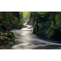 Read Media Storehouse Ltd Reviews