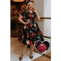 Read Dolly and Dotty Reviews