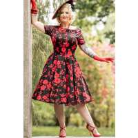 Read Dolly and Dotty Reviews