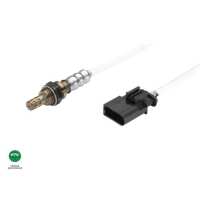 Read Orranje Performance Ltd Reviews