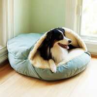 Read Snoozer Pet Products Reviews