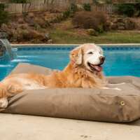 Read Snoozer Pet Products Reviews