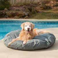 Read Snoozer Pet Products Reviews