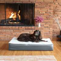 Read Snoozer Pet Products Reviews
