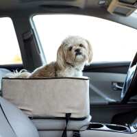 Read Snoozer Pet Products Reviews