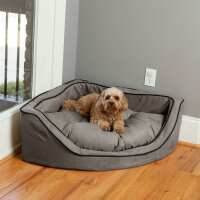 Read Snoozer Pet Products Reviews