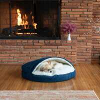 Read Snoozer Pet Products Reviews