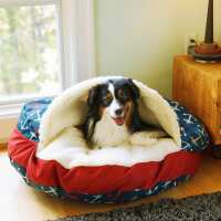 Read Snoozer Pet Products Reviews
