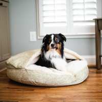 Read Snoozer Pet Products Reviews