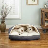 Read Snoozer Pet Products Reviews