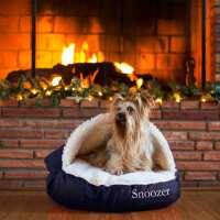 Read Snoozer Pet Products Reviews