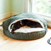 Read Snoozer Pet Products Reviews