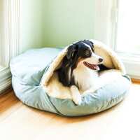 Read Snoozer Pet Products Reviews