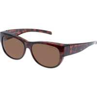 Read Just Sunnies Reviews