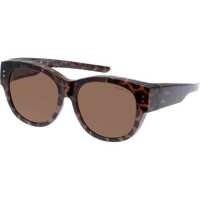 Read Just Sunnies Reviews