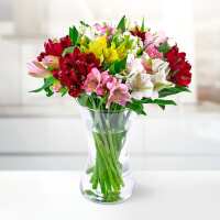 Read B&M Flowers Reviews