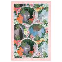 Read Sun of a Beach Reviews