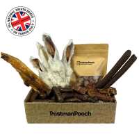 Read Postman Pooch Reviews