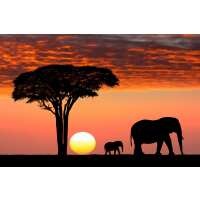 Read The Postcard Store Reviews