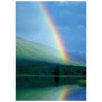 Read The Postcard Store Reviews