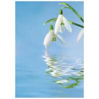 Read The Postcard Store Reviews