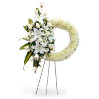 Leer Florerías Floryou® Reseñas