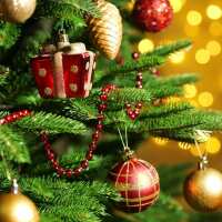 Read Old Railway Line Garden Centre Reviews