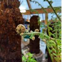 Read Old Railway Line Garden Centre Reviews