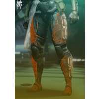 Read CarrySquad Reviews