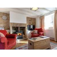 Read PetsPyjamas Reviews