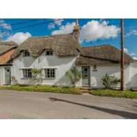 Read PetsPyjamas Reviews