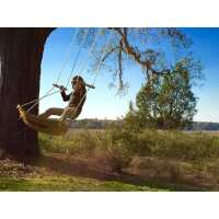 Read Backyard Ziplines Reviews