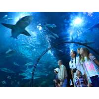 Read AttractionTix Reviews