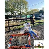 Read Day Out With The Kids Reviews