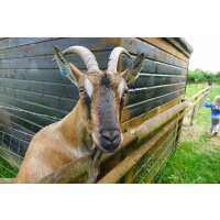 Read Day Out With The Kids Reviews