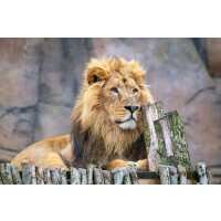 Read Day Out With The Kids Reviews