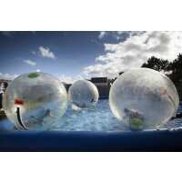Read Day Out With The Kids Reviews