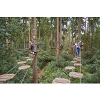 Read Day Out With The Kids Reviews