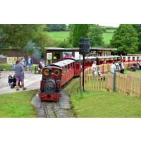 Read Day Out With The Kids Reviews