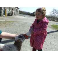 Read Day Out With The Kids Reviews