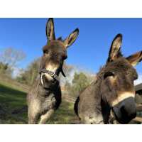 Read Day Out With The Kids Reviews