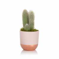 Read The Little Botanical Reviews
