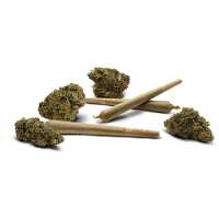 Read Crescent Canna Reviews