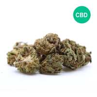 Read Crescent Canna Reviews