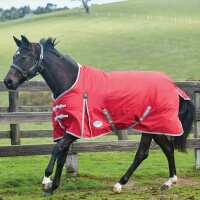 Read PetnPony Reviews