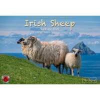 Read Carrolls Irish Gifts Reviews